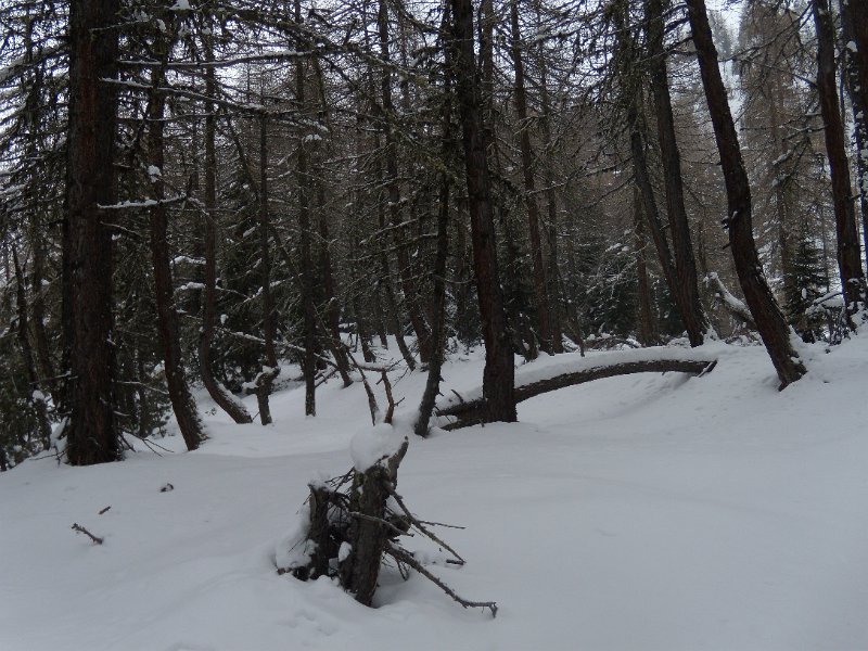 foto novembre 083.jpg